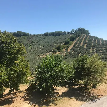 L'oleandro * Loreto Aprutino