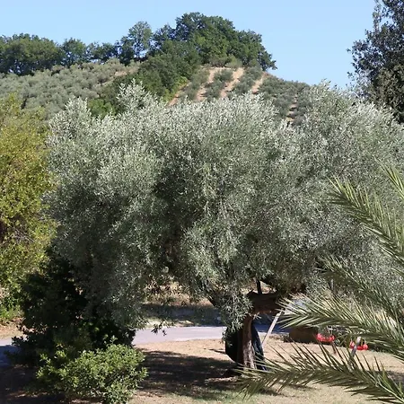 L'oleandro Loreto Aprutino