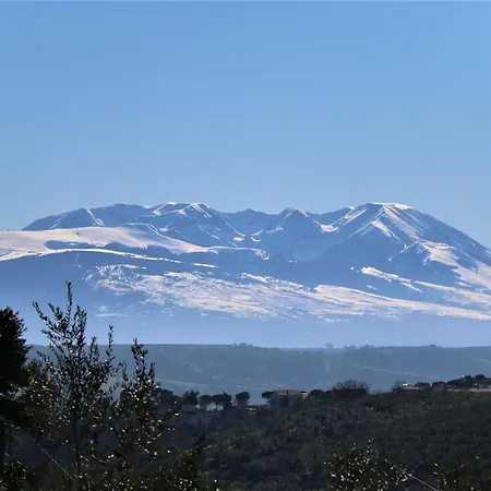 Vendégház L'oleandro *